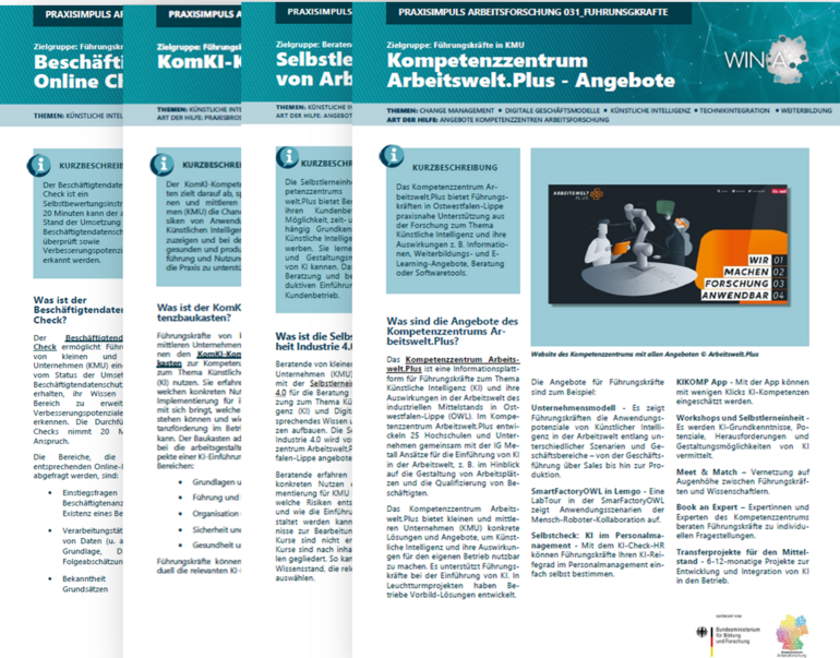 Praxisimpulse Arbeitsforschung aus WIN:A